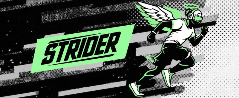 Strider image